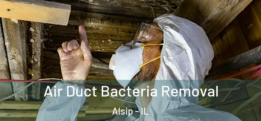 Air Duct Bacteria Removal Alsip - IL
