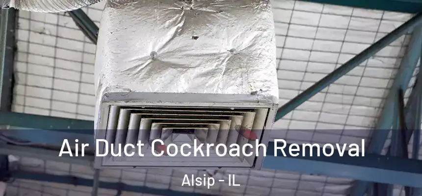  Air Duct Cockroach Removal Alsip - IL