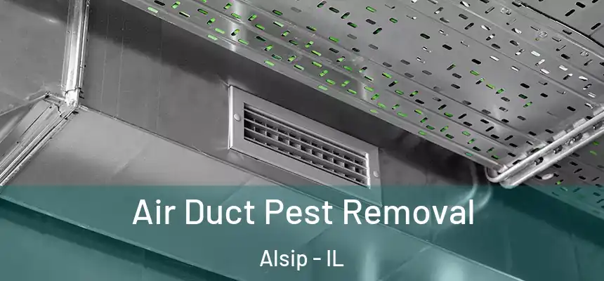  Air Duct Pest Removal Alsip - IL