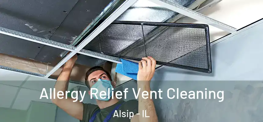 Allergy Relief Vent Cleaning Alsip - IL