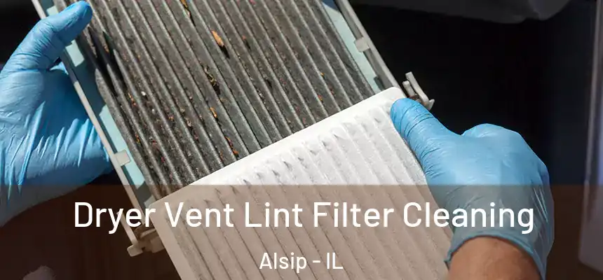 Dryer Vent Lint Filter Cleaning Alsip - IL