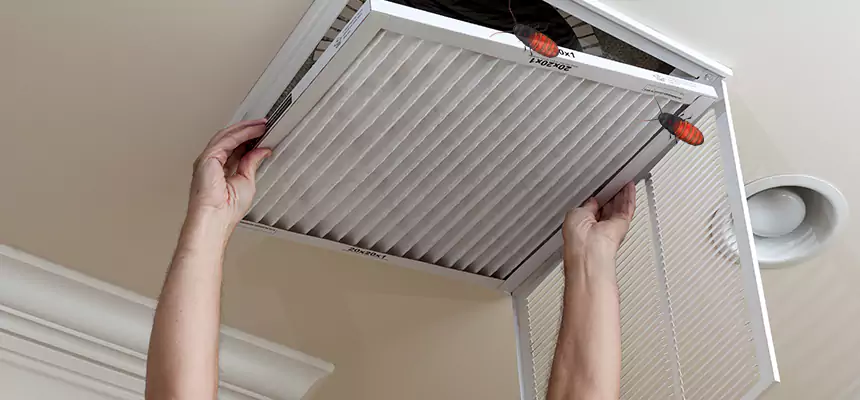 Preventive Cockroach-Proofing for Ducts in Alsip