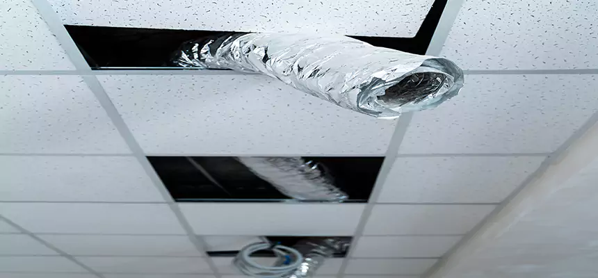 Our Air Duct Pet Hair Removal Services in Alsip, IL