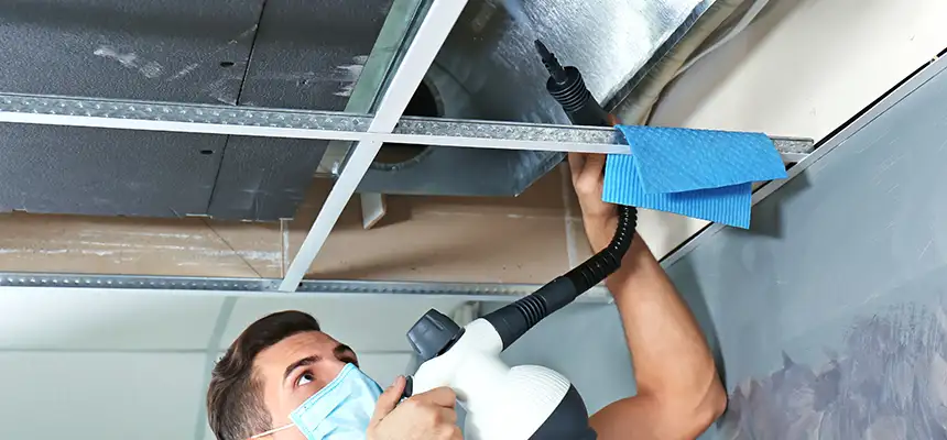 Our Air Duct Rodent Removal Services in Alsip, IL