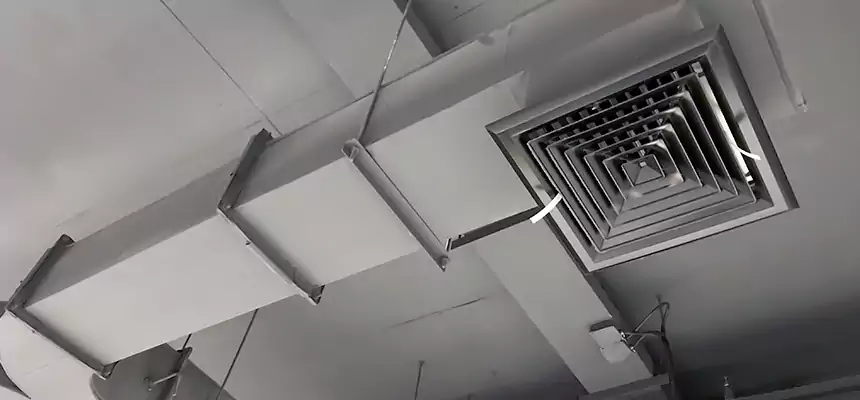 Restorative Allergy Relief Vent Cleaning – Coil, Blower & Housing Detail in Alsip