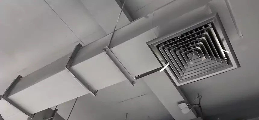 Our Pest Removal From Ducts Services in Alsip, IL