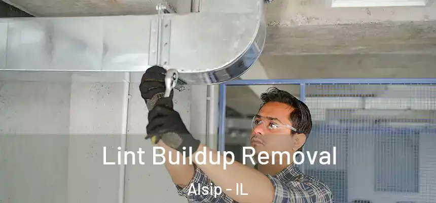 Lint Buildup Removal Alsip - IL
