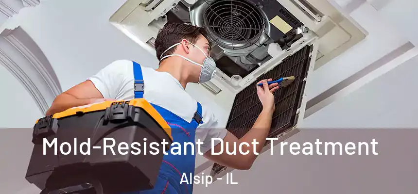  Mold-Resistant Duct Treatment Alsip - IL