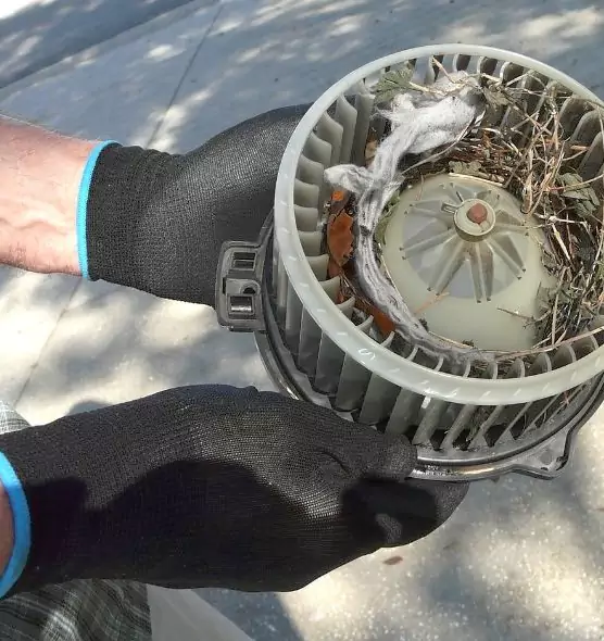 About Air Duct Rat Removal in Alsip, IL