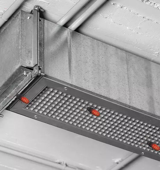 Affordable Insect Removal from Air Ducts in Alsip, IL