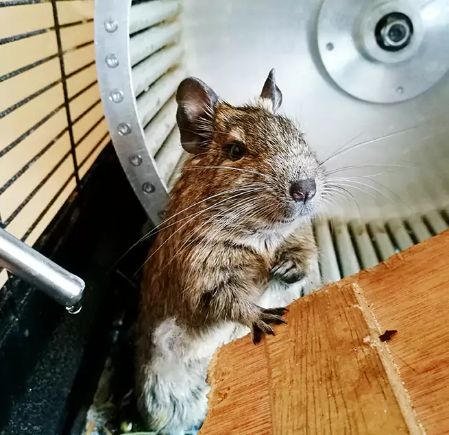 Why Homeowners & Businesses Trust Us Alsip, IL