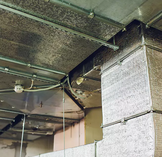 Why Homeowners & Businesses Trust Us in Alsip, IL?